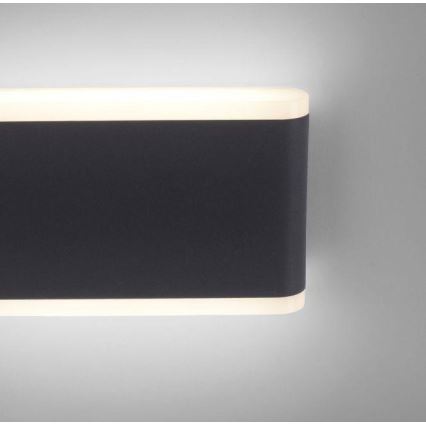 Paul Neuhaus 9483-13 - LED-ulkoseinävalaisin ELSA 2xLED/5,4W/230V IP65