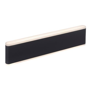 Paul Neuhaus 9484-13 - LED Himmennettävä ulkoseinävalo ELSA 2xLED/9W/230V IP65