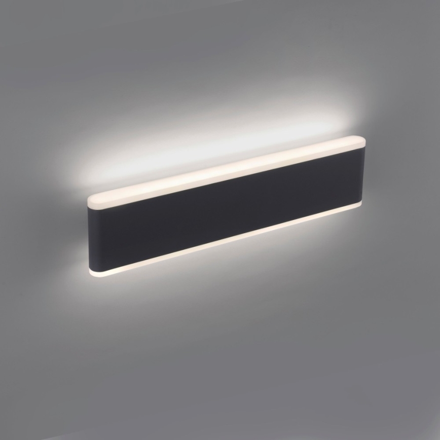 Paul Neuhaus 9484-13 - LED Himmennettävä ulkoseinävalo ELSA 2xLED/9W/230V IP65