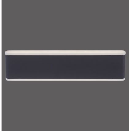 Paul Neuhaus 9484-13 - LED Himmennettävä ulkoseinävalo ELSA 2xLED/9W/230V IP65