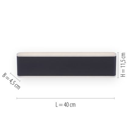 Paul Neuhaus 9484-13 - LED Himmennettävä ulkoseinävalo ELSA 2xLED/9W/230V IP65