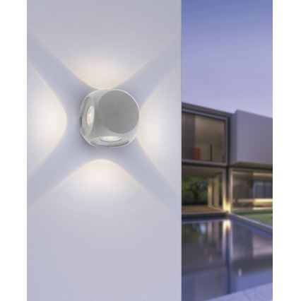 Paul Neuhaus 9485-21 - LED Ulkoseinävalo CARLO 4xLED/0,8W/230V IP54