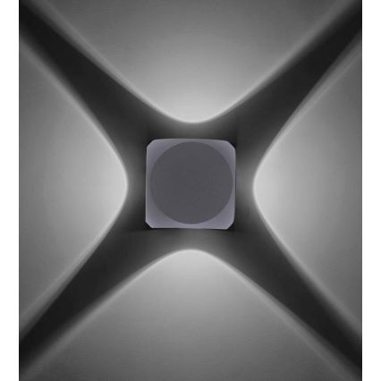 Paul Neuhaus 9485-21 - LED Ulkoseinävalo CARLO 4xLED/0,8W/230V IP54
