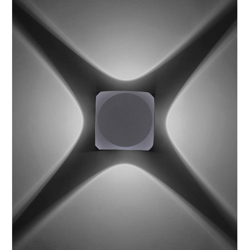 Paul Neuhaus 9485-21 - LED Ulkoseinävalo CARLO 4xLED/0,8W/230V IP54