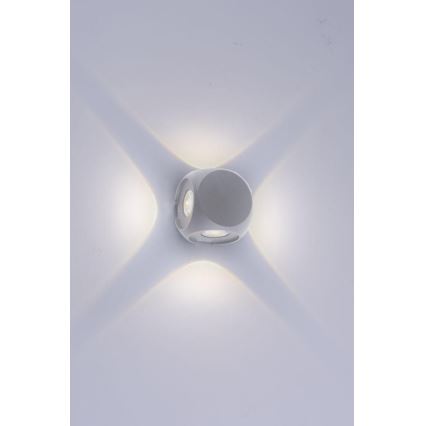 Paul Neuhaus 9485-21 - LED Ulkoseinävalo CARLO 4xLED/0,8W/230V IP54