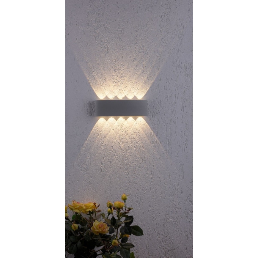 Paul Neuhaus 9489-21- LED Ulkoseinävalo CARLO 10xLED/0,8W/230V IP54