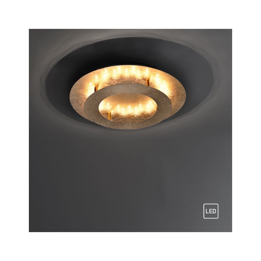Paul Neuhaus 9620-12 - LED-kattovalo NEVIS LED/18W/230V kulta