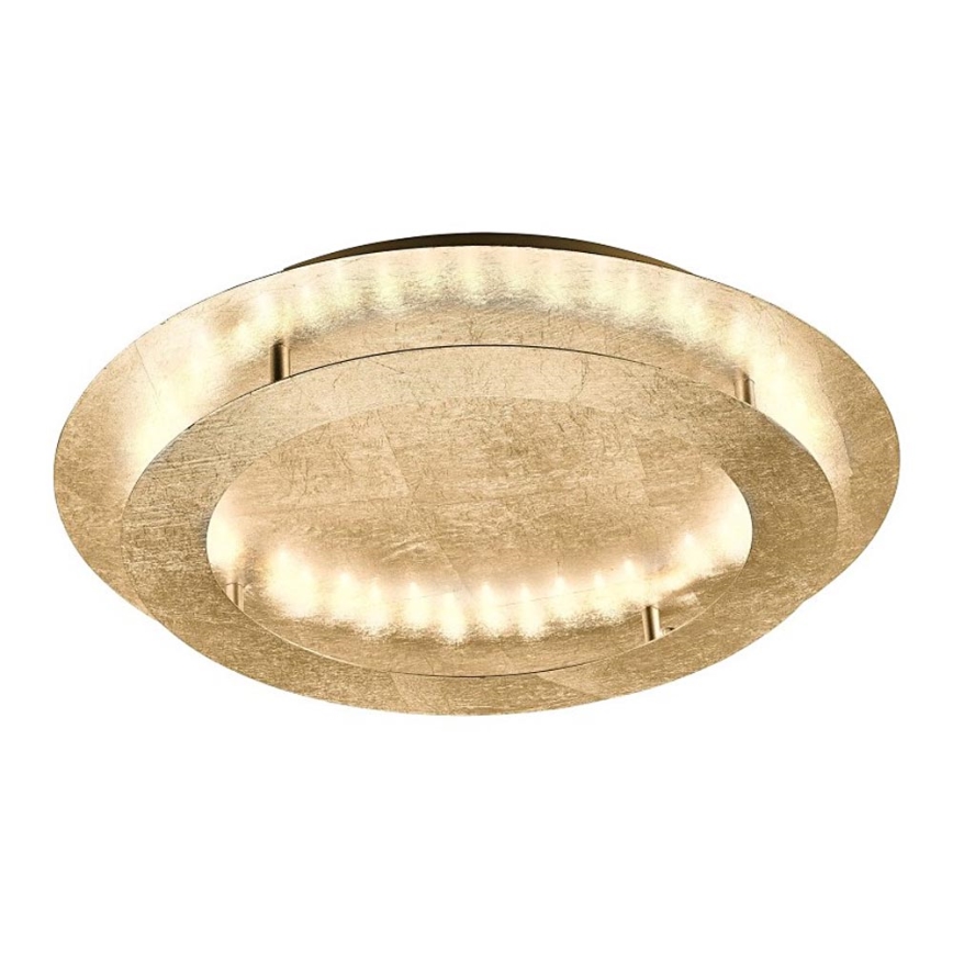 Paul Neuhaus 9621-12 - LED-kattovalo NEVIS LED/24W/230V