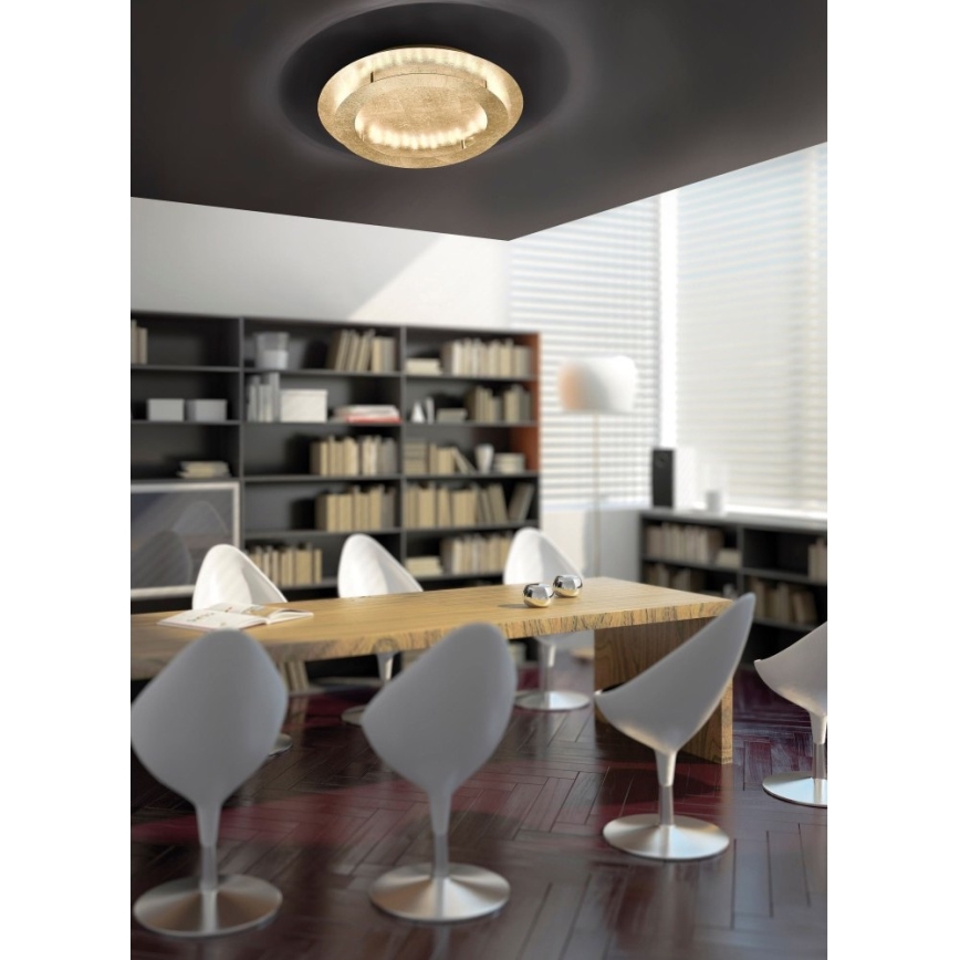 Paul Neuhaus 9621-12 - LED-kattovalo NEVIS LED/24W/230V