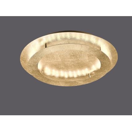 Paul Neuhaus 9621-12 - LED-kattovalo NEVIS LED/24W/230V