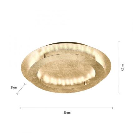 Paul Neuhaus 9621-12 - LED-kattovalo NEVIS LED/24W/230V