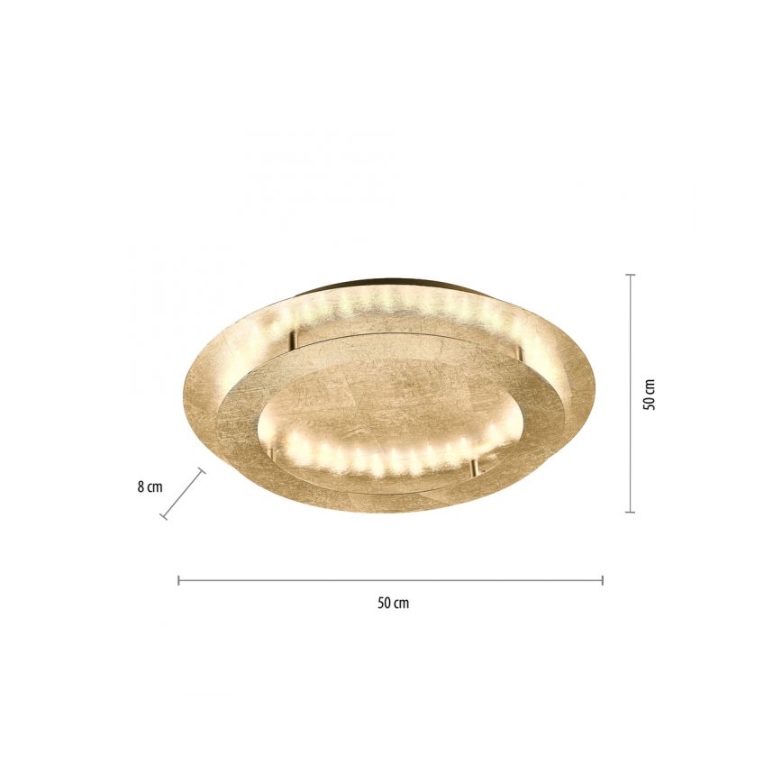 Paul Neuhaus 9621-12 - LED-kattovalo NEVIS LED/24W/230V