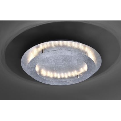 Paul Neuhaus 9621-21 - LED-kattovalo NEVIS LED/24W/230V