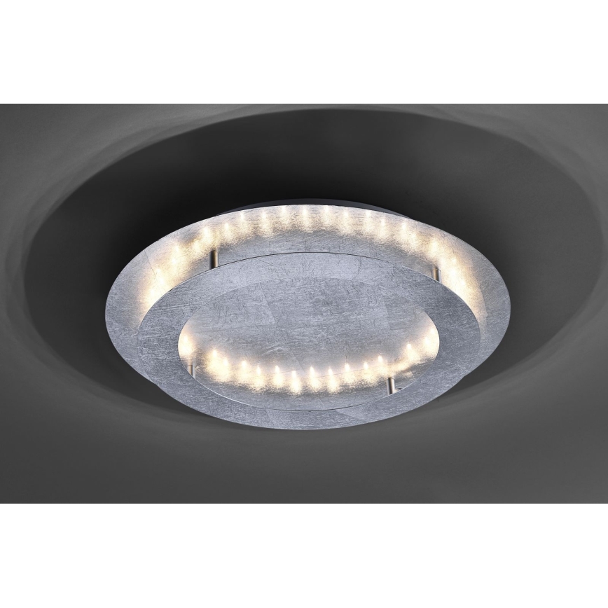 Paul Neuhaus 9621-21 - LED-kattovalo NEVIS LED/24W/230V