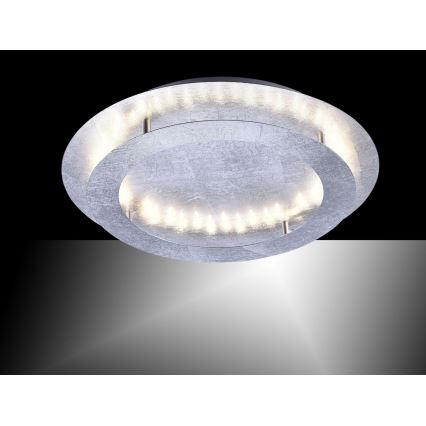 Paul Neuhaus 9621-21 - LED-kattovalo NEVIS LED/24W/230V
