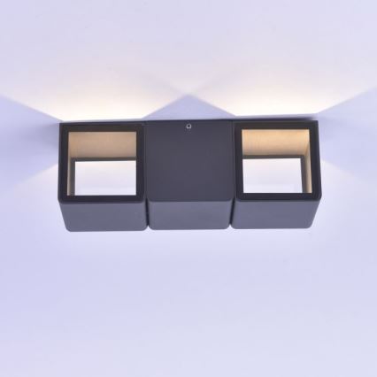 Paul Neuhaus 9658-13 - LED Ulkoseinävalo MARCEL 2xLED/4W/230V IP54