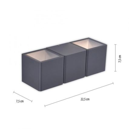 Paul Neuhaus 9658-13 - LED Ulkoseinävalo MARCEL 2xLED/4W/230V IP54