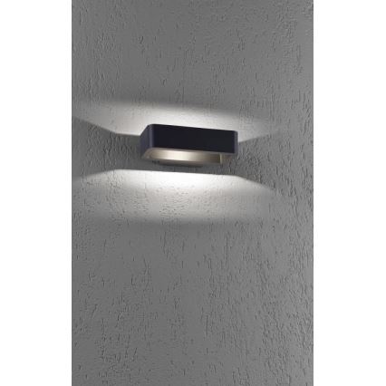 Paul Neuhaus 9668-13 - LED-ulkoseinävalo HENDRIK LED/5,2W/230V IP54