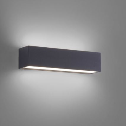Paul Neuhaus 9675-13 - LED Ulkoseinävalo ROBERT 2xLED/9W/230V IP65