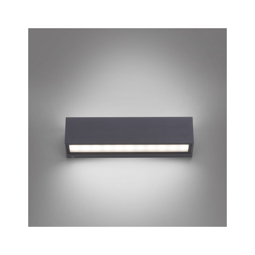 Paul Neuhaus 9675-13 - LED Ulkoseinävalo ROBERT 2xLED/9W/230V IP65