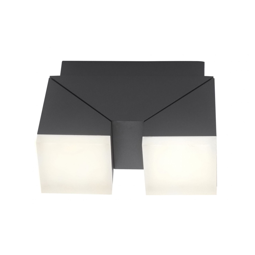 Paul Neuhaus 9722-13 - LED Ulkoseinävalo RYAN 2xLED/5W/230V IP54