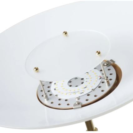 Paul Neuhaus - 655-60 - Himmennettävä LED-lattiavalaisin ALFRED 1xLED/28W/230V+1xLED/4W/230V messinki