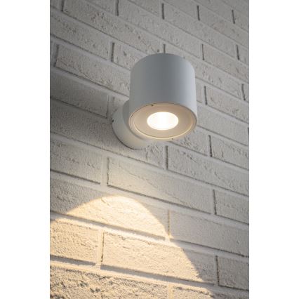 Paulmann 18007 - LED/5W IP44 Ulkoseinävalaisin FLAME 230V