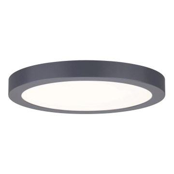 Paulmann 70988 - LED/22W Kattovalo ABIA 230V antrasiitti