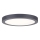 Paulmann 70988 - LED/22W Kattovalo ABIA 230V antrasiitti