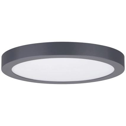 Paulmann 70988 - LED/22W Kattovalo ABIA 230V antrasiitti