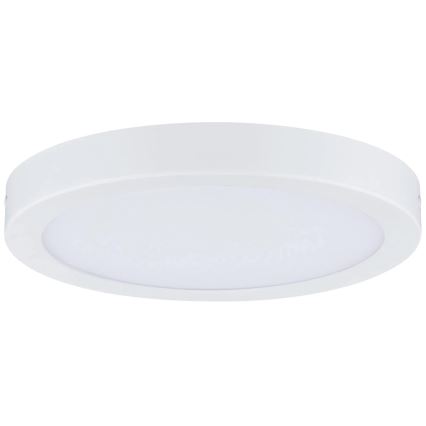 Paulmann 71021 - LED/22W Kattovalo ABIA 230V valkoinen