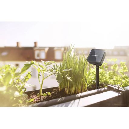 Paulmann 78896 - LED/0,3W IP44 Solar nauha 3m 1,2V 1000 mAh