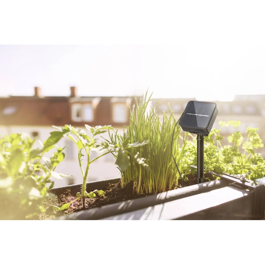 Paulmann 78896 - LED/0,3W IP44 Solar nauha 3m 1,2V 1000 mAh