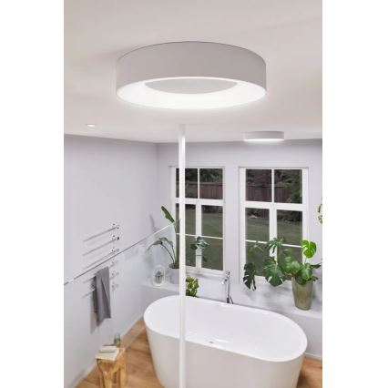 Paulmann 78947 - LED/23W IP44 Kylpyhuoneen kattovalaisin CASCA 230V