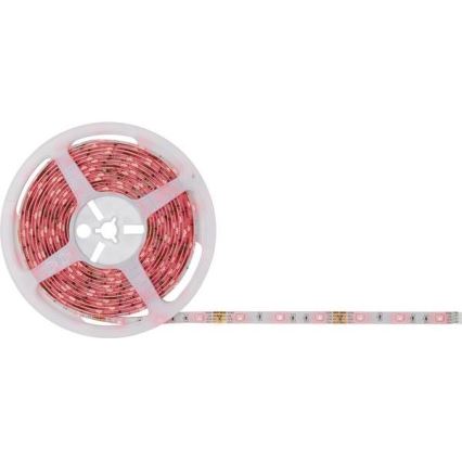 Paulmann 78978 - LED RGB / 20W himmennettävä nauha yksinkertainen 5m 230V + RC