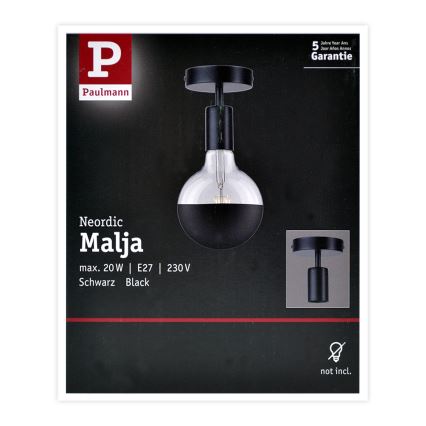 Paulmann 79760 - Kattovalo HALDOR 1xE27/20W/230V