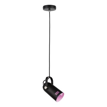 Paulmann 79766 - LAVEA-riippuvalaisin vaijerilla, 1x E27/15W, 230V, musta