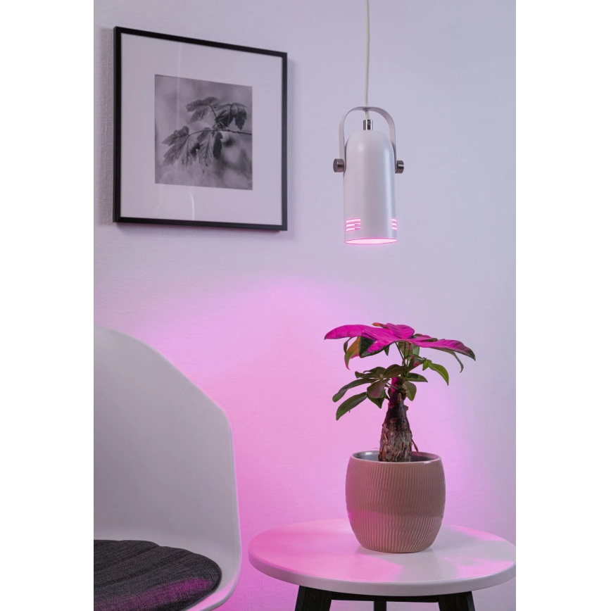 Paulmann 79767 - LAVEA LED RGBW riippuvalaisin kaapelilla 1xE27/15W 230V valkoinen