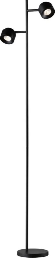 Paulmann 79775 - 2xLED/3W Himmennettävä lattiavalaisin PURIK PANE 230V
