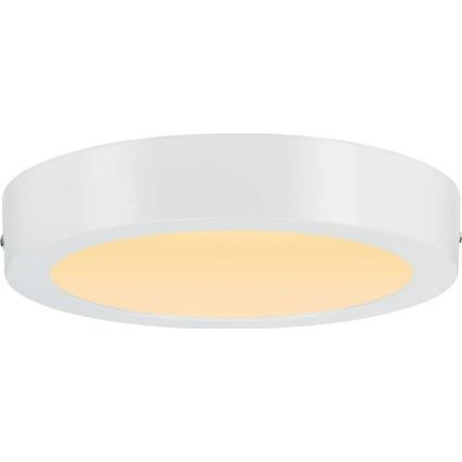 Paulmann 79795 - LED/13W Kattovalo CARPO 230V 2300/2500/3000K