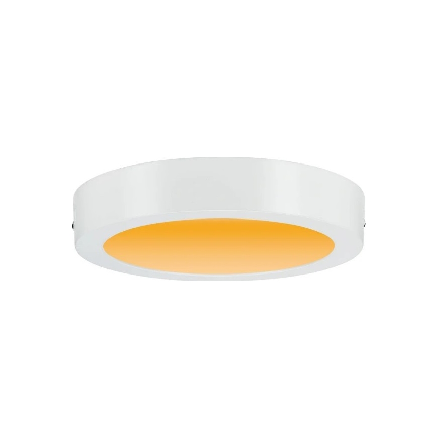 Paulmann 79795 - LED/13W Kattovalo CARPO 230V 2300/2500/3000K