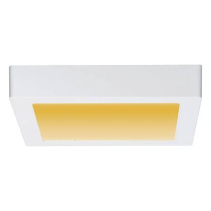 Paulmann 79796 - LED/13W Kattovalo CARPO 230V 2300-3000K