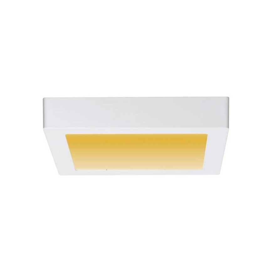 Paulmann 79796 - LED/13W Kattovalo CARPO 230V 2300-3000K