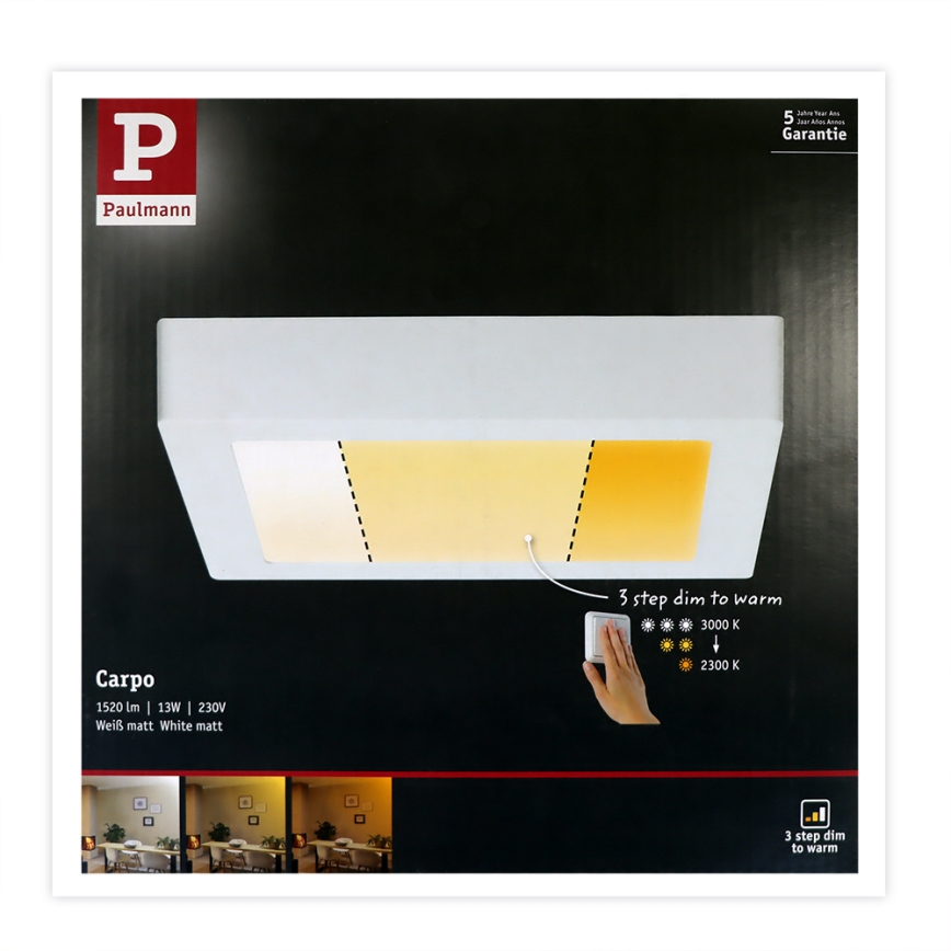 Paulmann 79796 - LED/13W Kattovalo CARPO 230V 2300-3000K