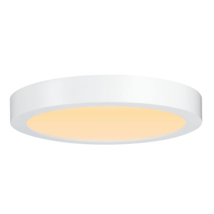 Paulmann 79799 - LED/19W Kattovalo CARPO 230V 2300/2500/3000K