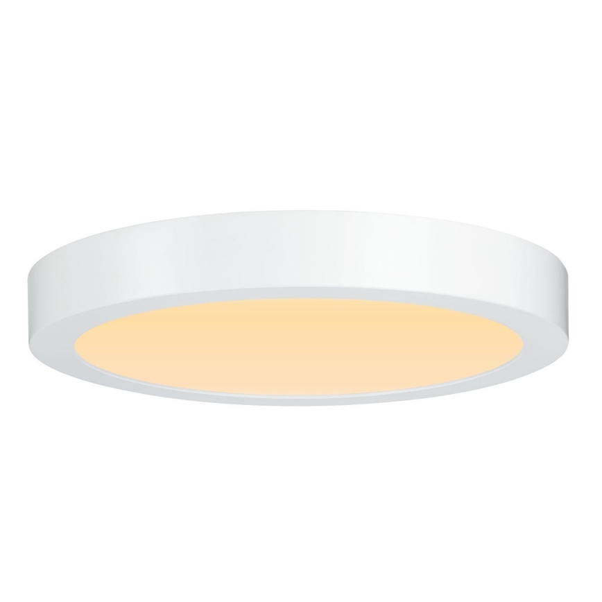 Paulmann 79799 - LED/19W Kattovalo CARPO 230V 2300/2500/3000K