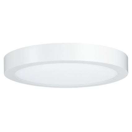 Paulmann 79799 - LED/19W Kattovalo CARPO 230V 2300/2500/3000K