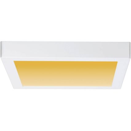 Paulmann 79801 - LED/13W Kattovalo CARPO 230V 2300/2500/3000K