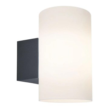 Paulmann 94186 - 1xE27/15W IP54 Ulkoseinävalaisin TUBE 230V