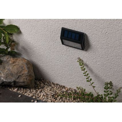Paulmann 94234 - LED/0,05W IP44 Ulkoaurinkovalo anturilla DAYTON 1,2V 400 mAh
